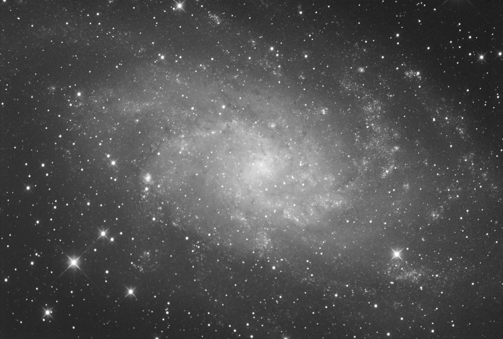 M 33