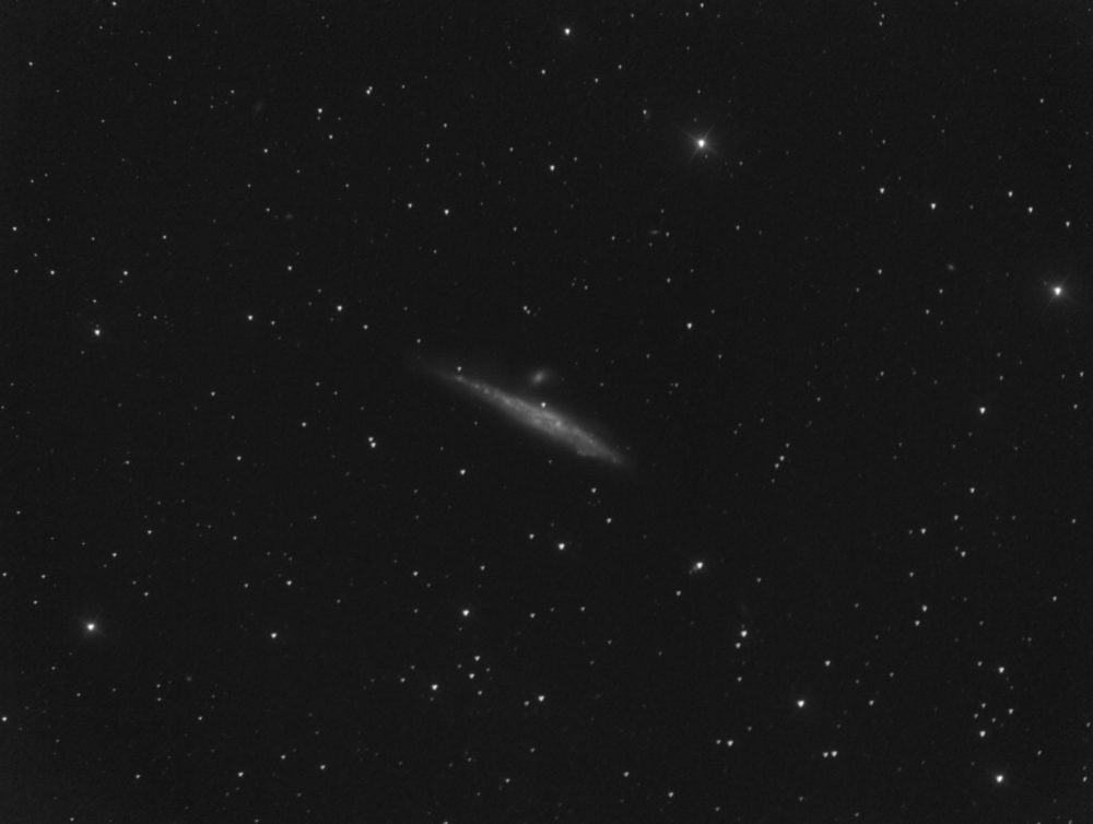 La Baleine et son Baleineau (NGC 4631 et 4627) dans les Chiens de Chasse