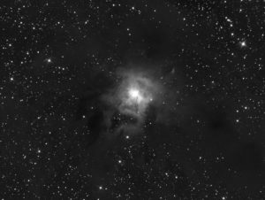 Nébuleuse de l'Iris (N&B), NGC 7023